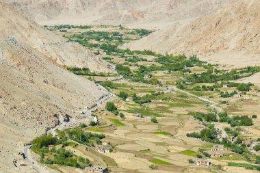 Ladakh 'ın çorak dağları arasında yeşil tarım arazisi. Changla geçidinden çekilmiş bir görüntü. Leh, Jammu ve Kashmir, Hindistan