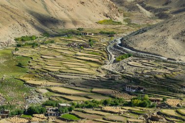 Güzel ladakh manzarası, Himalaya dağlarının arkasından gelen ılık güneş ışığıyla yeşil vadi arazisi, leh, ladakh, Jammu ve Kashmir, Hindistan