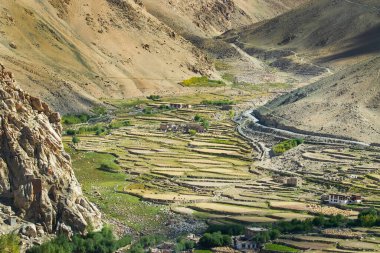 Güzel ladakh manzarası, Himalaya dağlarının arkasından gelen ılık güneş ışığıyla yeşil vadi arazisi, leh, ladakh, Jammu ve Kashmir, Hindistan