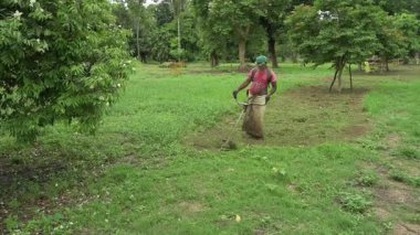 Howrah, Batı Bengal, Hindistan - 20.06.2022 Hintli işçi bahçede çim biçme makinesi kullanarak çim biçiyor. Ağır çekim film.