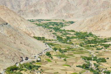 Ladakh 'ın çorak dağları arasında yeşil tarım arazisi. Changla geçidinden çekilmiş bir görüntü. Leh, Jammu ve Kashmir, Hindistan