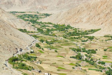 Ladakh 'ın çorak dağları arasında yeşil tarım arazisi. Changla geçidinden çekilmiş bir görüntü. Leh, Jammu ve Kashmir, Hindistan