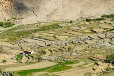 Ladakh 'ın çorak dağları arasında yeşil tarım arazisi. Changla geçidinden çekilmiş bir görüntü. Leh, Jammu ve Kashmir, Hindistan
