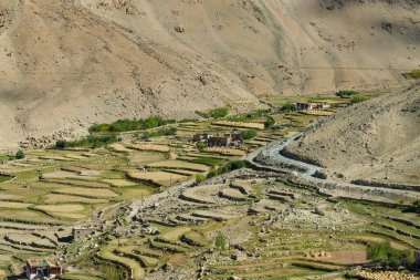 Chang La, Büyük Himalaya 'da Ladakh' ta Leh ve Shyok Nehri Vadisi arasında yüksek bir dağ geçididir. Chang La 'dan Pangong Gölü yolundaki Himalaya tarımına ve köyüne bakın..