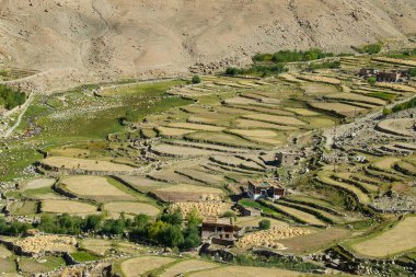 Chang La, Büyük Himalaya 'da Ladakh' ta Leh ve Shyok Nehri Vadisi arasında yüksek bir dağ geçididir. Chang La 'dan Pangong Gölü yolundaki Himalaya tarımına ve köyüne bakın..