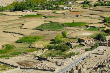 Chang La, Büyük Himalaya 'da Ladakh' ta Leh ve Shyok Nehri Vadisi arasında yüksek bir dağ geçididir. Chang La 'dan Pangong Gölü yolundaki Himalaya tarımına ve köyüne bakın..