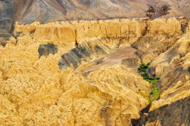 Ay 'ın yüzeyine esrarengiz benzerliğinden dolayı Lamayuru yakınlarındaki Moonland' da yeşil ağaçların dokunuşu. Doğal olarak aşınmış, yumuşak kil tepeler ona gerçek bir ay titreşimi veriyor. Lamayuru, Ladakh, Hindistan.
