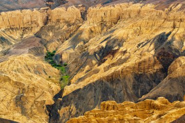 Ay 'ın yüzeyine esrarengiz benzerliğinden dolayı Lamayuru yakınlarındaki Moonland' da yeşil ağaçların dokunuşu. Doğal olarak aşınmış, yumuşak kil tepeler ona gerçek bir ay titreşimi veriyor. Lamayuru, Ladakh, Hindistan.