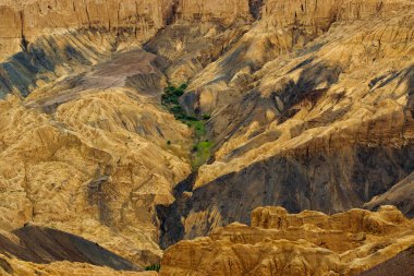Ay 'ın yüzeyine esrarengiz benzerliğinden dolayı Lamayuru yakınlarındaki Moonland' da yeşil ağaçların dokunuşu. Doğal olarak aşınmış, yumuşak kil tepeler ona gerçek bir ay titreşimi veriyor. Lamayuru, Ladakh, Hindistan.