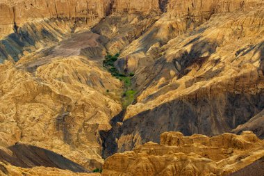 Ay 'ın yüzeyine esrarengiz benzerliğinden dolayı Lamayuru yakınlarındaki Moonland' da yeşil ağaçların dokunuşu. Doğal olarak aşınmış, yumuşak kil tepeler ona gerçek bir ay titreşimi veriyor. Lamayuru, Ladakh, Hindistan.