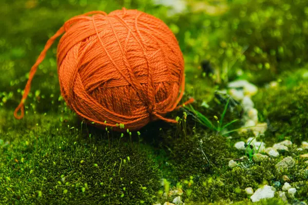 Une Boule Fil Rouge Repose Sur Mousse Verte Dans Une — Photo