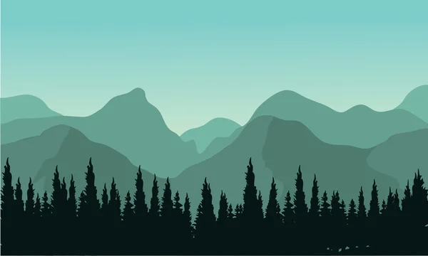 Bosque nocturno con siluetas de abetos — Vector de stock