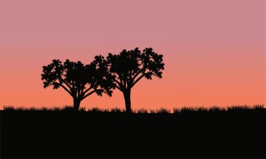 alanları gündoğumu silüeti ile