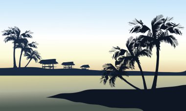 tropikal deniz manzara