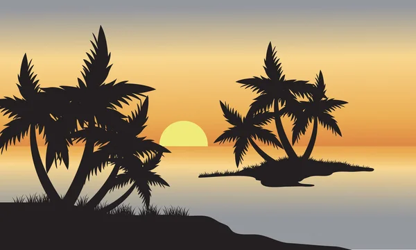 Palm in strand bij zonsondergang — Stockvector