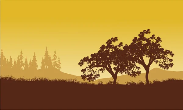 Silhouette des Baumes mit gelbem Hintergrund — Stockvektor