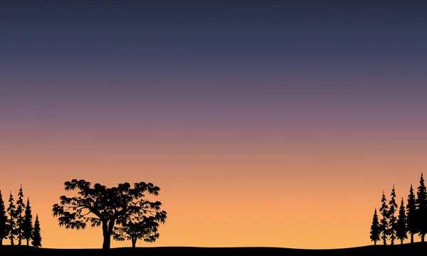 Blick auf den Baum bei Sonnenaufgang — Stockvektor