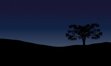 Ağaç gece manzarası