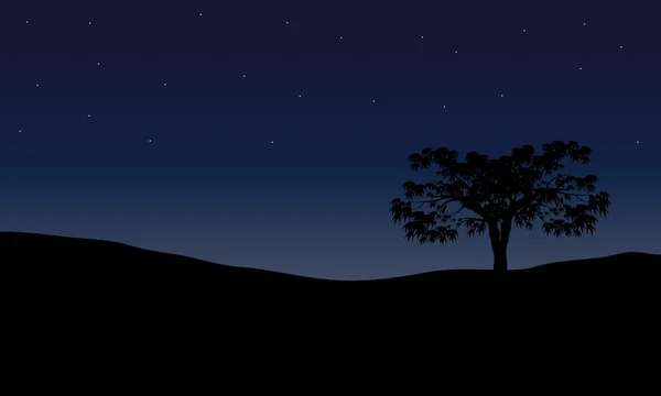 在夜晚风景树 — 图库矢量图片