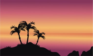 Hindistan cevizi avuç içi Beach