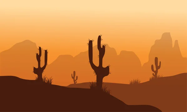 Solnedgång, kaktus i öknen — Stock vektor