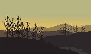 Gün batımında Mısır siluet