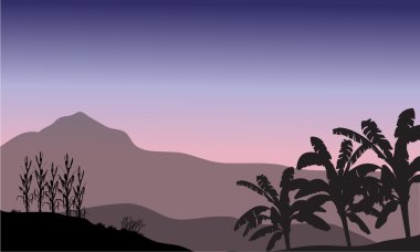 Muz ağacı hill sahne