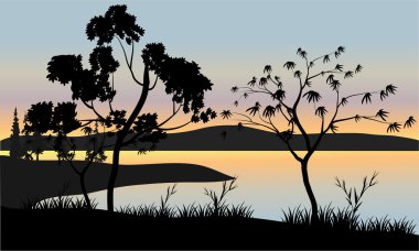 Gün batımı sahne ağaca