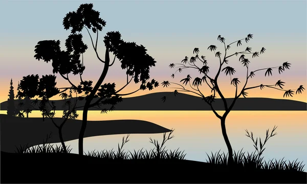 Gün batımı sahne ağaca