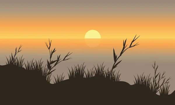 Silhouette beautiful scenery grass — Stock Vector