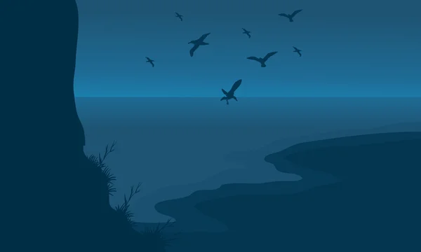 Silhouette de plage et d'oiseaux — Image vectorielle