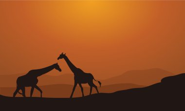 Gün batımı arka plan siluet zürafa