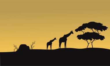 Silhouette zürafa ve ağaç