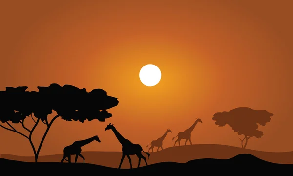 Giraffe silhouette savanna landscape — Stock Vector