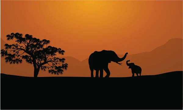 Silhouetten van olifanten op een berg achtergrond — Stockvector