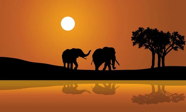 Éléphants d'Afrique au coucher du soleil africana — Image vectorielle