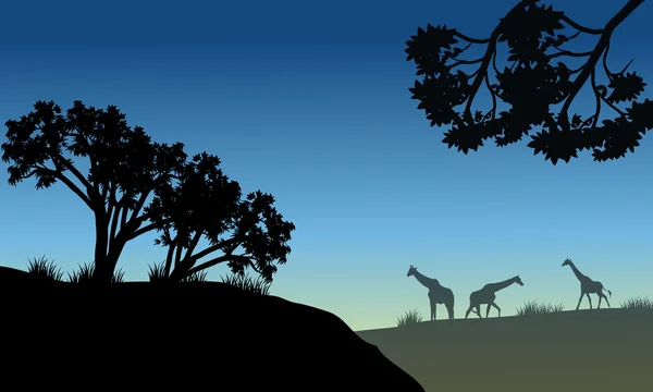 Silhouette of tree and giraffe — Stock Vector