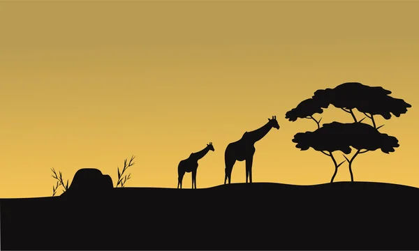 Silueta de jirafa y árbol — Vector de stock
