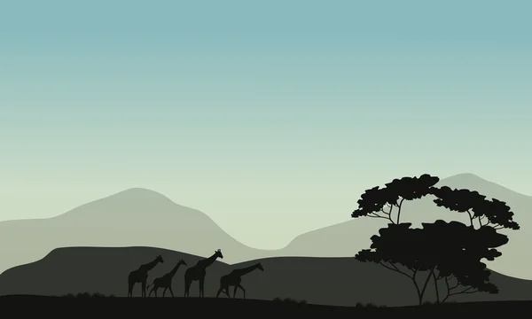 Silhouette d'arbre et girafe — Image vectorielle