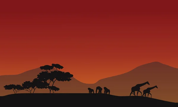 Silhouette di giraffa e gorilla — Vettoriale Stock