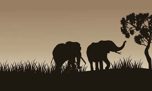 아프리카 코끼리 실루엣의 산책 — 스톡 벡터