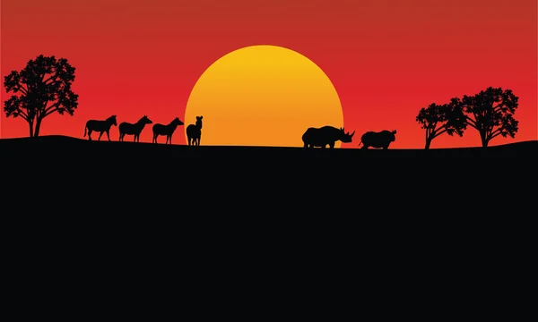 Paysage silhouette zèbre et rhinocéros avec soleil — Image vectorielle
