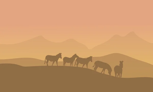 Zabra en el paisaje del desierto — Vector de stock