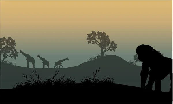 Silhouette di gorilla e giraffa — Vettoriale Stock