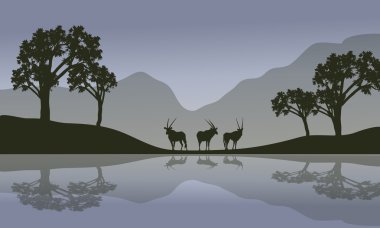 Antilop nehir manzarası
