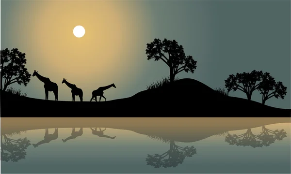 Girafa em paisagens ribeirinhas — Vetor de Stock