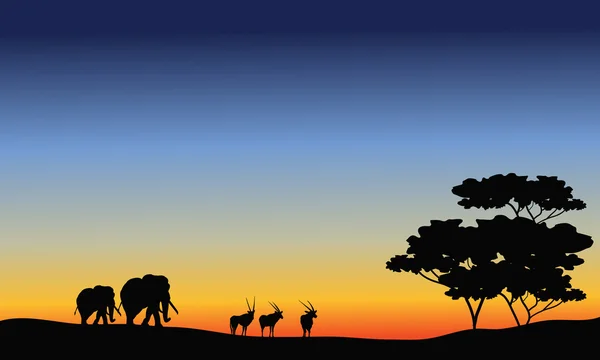 Silhouette d'éléphant et d'antilope — Image vectorielle