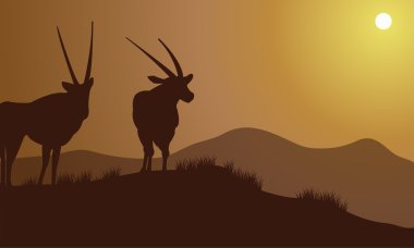 Antilop siluet tepelerde