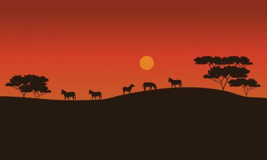 Zebralar savana batımında üzerinde