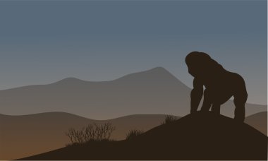 Goril siluet tepelerde